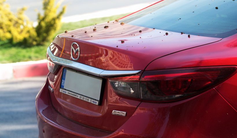 ramki na tablice rejestracyjne